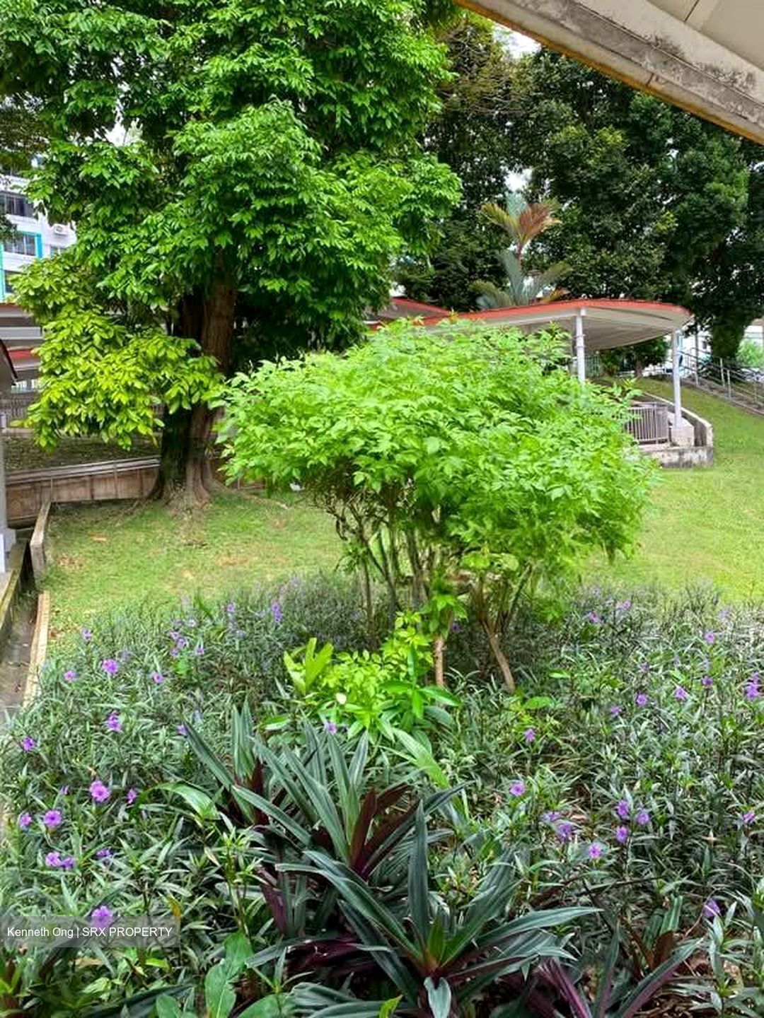 Blk 12 Bukit Ho Swee View (Bukit Merah), HDB 3 Rooms #580234471